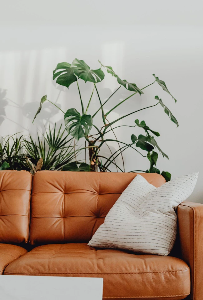 Furniture Design Showcase by Table & Chairs